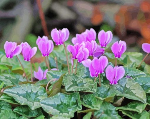 Purple Cyclamen paint by number