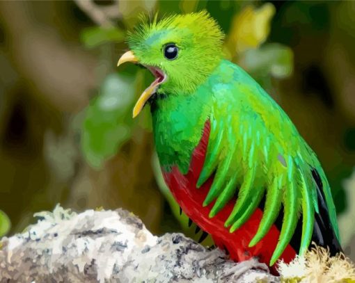 Quetzal Bird Peeping paint by number