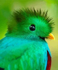 Quetzal Head paint by number