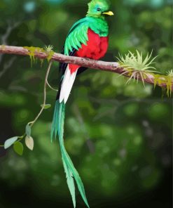 Quetzal On A Branch paint by numbers