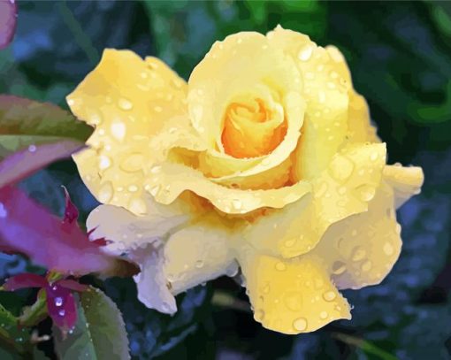 Raindrop Yellow Rose paint by numbers