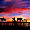 Ranching In Texas Silhouette paint by numbers