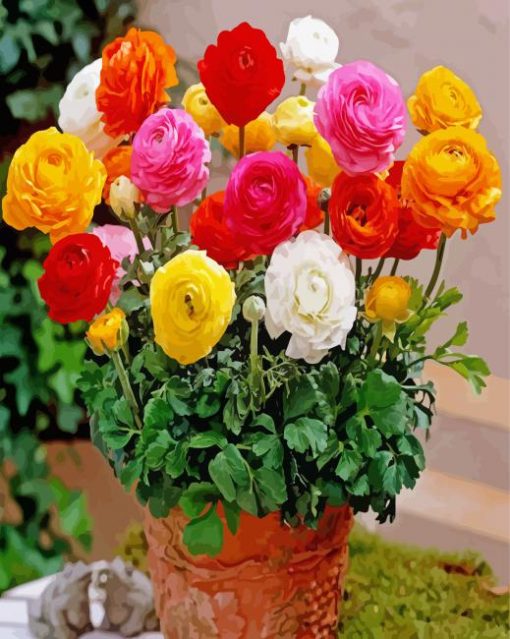 Ranunculus Flowers In A Plant Pot paint by number