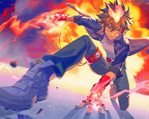 Reborn Tsunayoshi Sawada paint by number