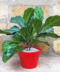 Red Plant Pot Fiddle Leaf Fig paint by number