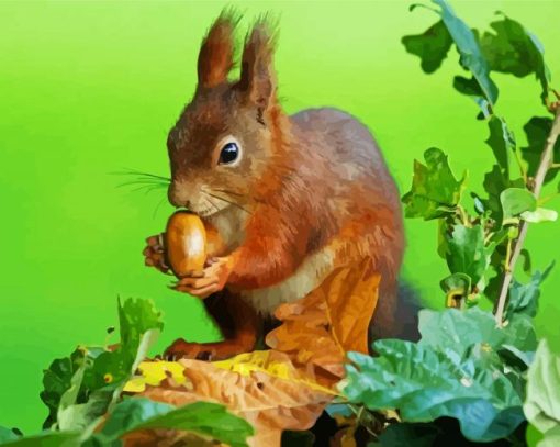 Red Squirrel Eating Acorn paint by numbers