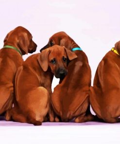 Rhodesian Ridgeback Puppies paint by number