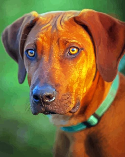 Ridgeback Animal paint by number