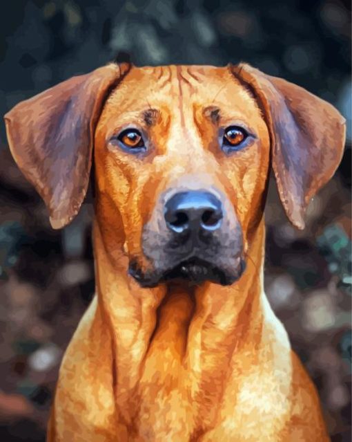 Ridgeback Dog paint by number