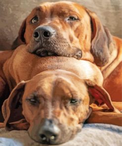 Ridgeback Puppies paint by number