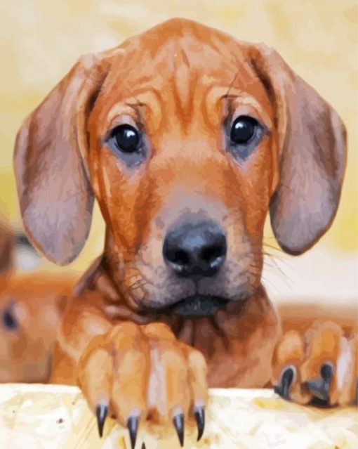 Ridgeback Puppy paint by number