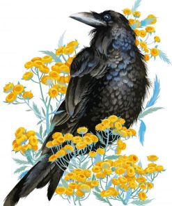 Rook Bird Art paint by numbers