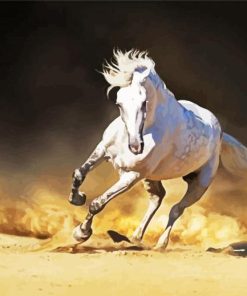 Running White Andalusian Horse paint by numbers