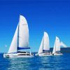 Sailing Catamarans paint by number