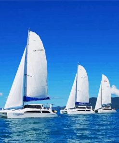 Sailing Catamarans paint by number