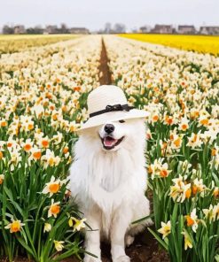 Samoyed Enjoying The Spring paint by numbers