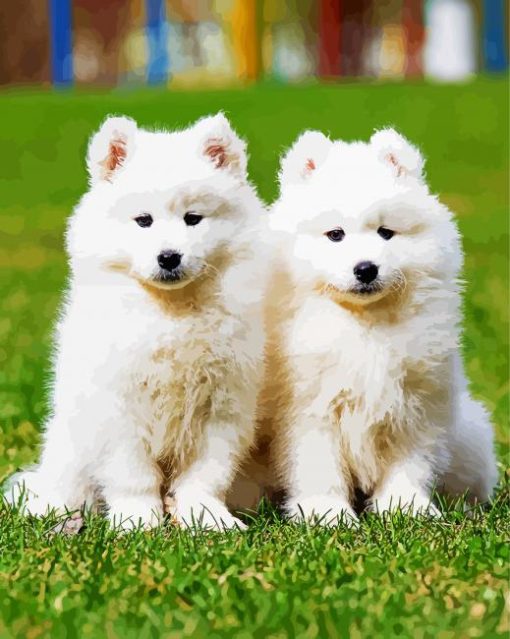 Samoyed Puppies paint by numbers