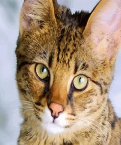 Savannah Cat Face paint by number