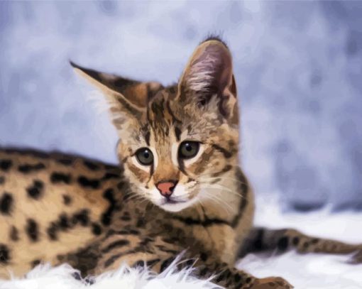 Savannah Cat paint by number