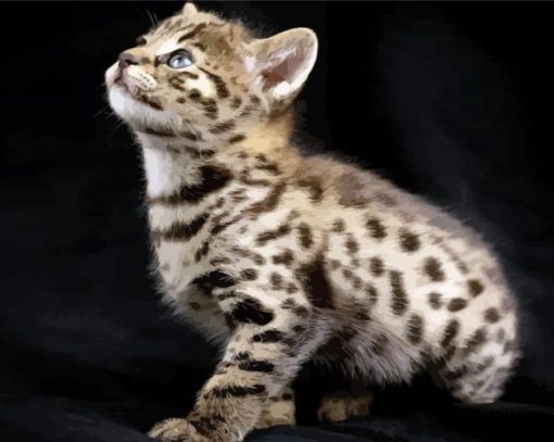 Savannah Kitten paint by number