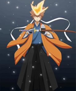 Sawada Tsunayoshi Reborn Anime paint by number