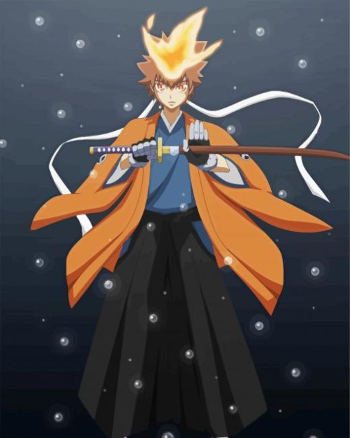 Sawada Tsunayoshi Reborn Anime paint by number