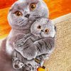 Scottish Fold Cats paint by numbers