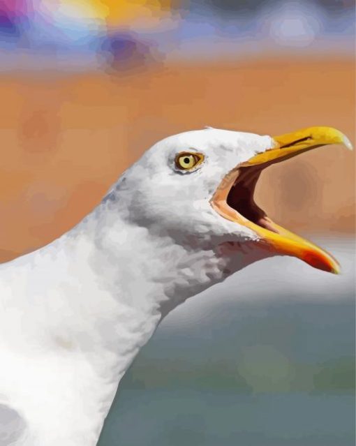 Seagull Bird Head paint by numbers