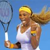 Serena Williams paint by numbers