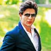 Shahrukh Khan paint by numbers