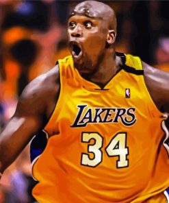 Shaquille O Neal paint by numbers