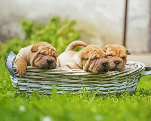 Shar Pei Puppies In Bssket paint by numbers