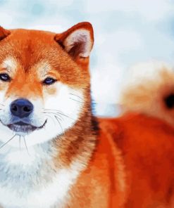 Shiba Inu Puppy paint by numbers