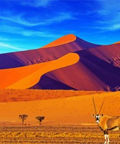 Southern Africa Namibia paint by number