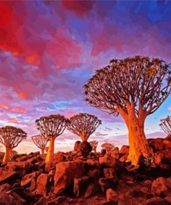 Southern Nambia Aloe Dichotoma Trees paint by numbers