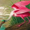 Spoonbill Art paint by numbers