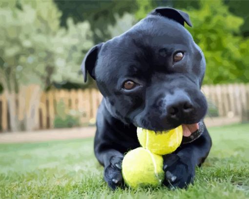 Staffordshire Bull Terrier With Tennis Balls paint by number