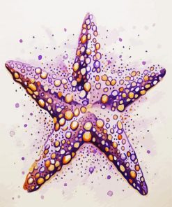 Starfishes paint by number