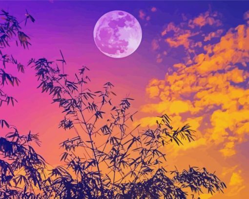 Sunset Full Moon paint by numbers