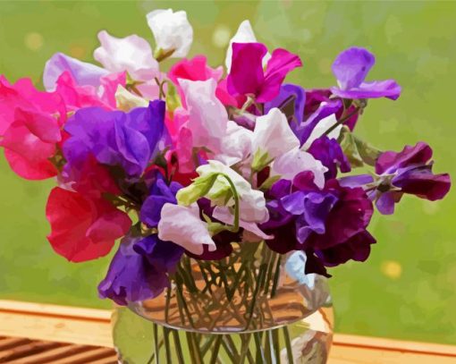 Sweetpea In Glass Vase paint by number