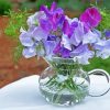 Sweetpea Plants In Glass paint by number