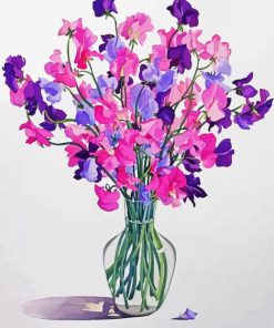 Sweetpea Illustration paint by numbers