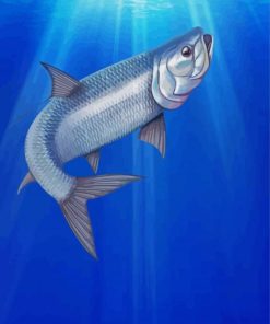 Tarpon Fish Animal paint by number