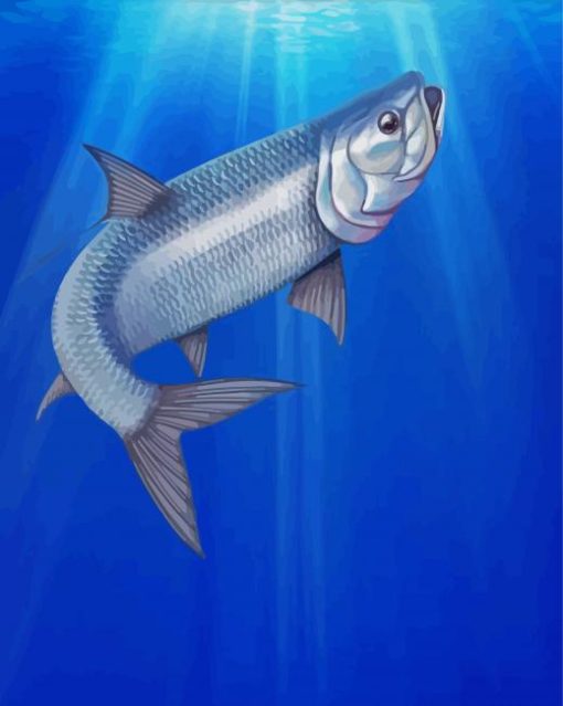 Tarpon Fish Animal paint by number