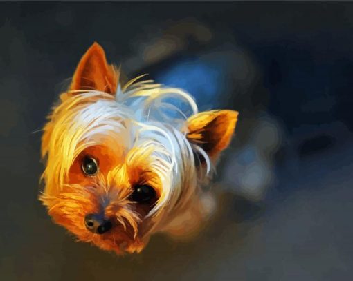 Teacup Yorkshire Terrier paint by number