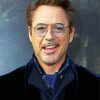 The Actor Robert Downey Jr paint by number