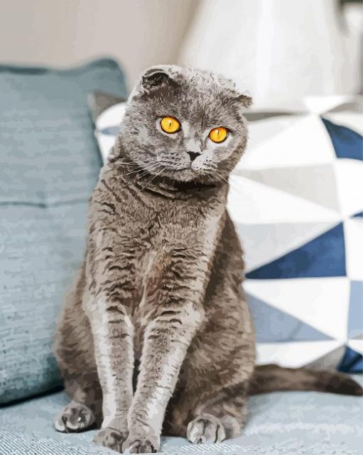 The Scottish Fold Grey Dog paint by numbers