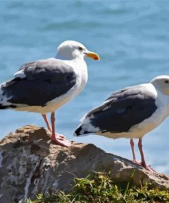 The Seagulls Birds paint by numbers