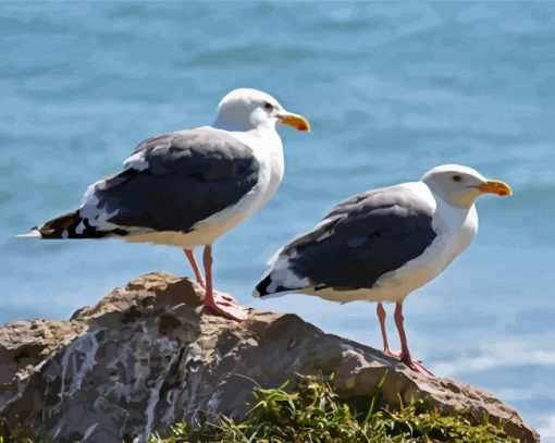 The Seagulls Birds paint by numbers