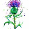 Thistle Plant Art paint by numbers